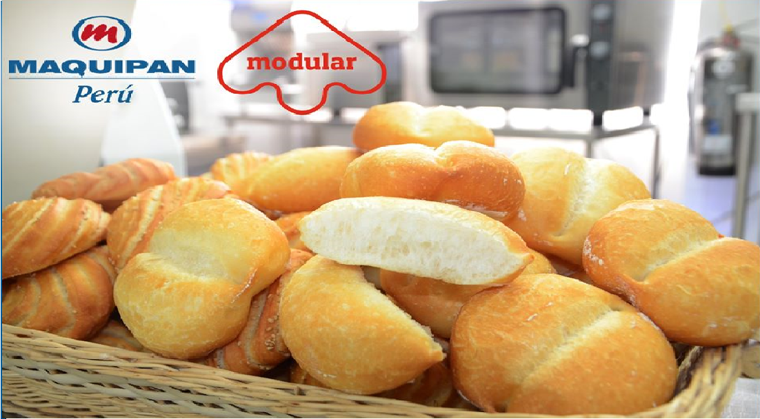 HORNO CONVECTOR MODULAR 